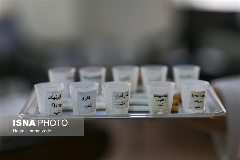 خانه سالمندان گئورگ مقدس