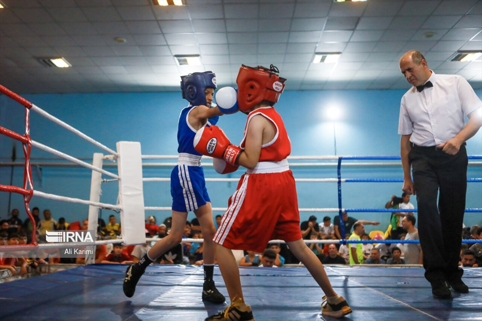 مسابقات بوکس خردسالان