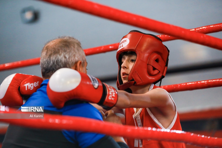 مسابقات بوکس خردسالان