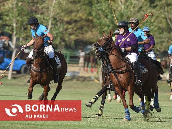 لیگ ملی چوگان گرامیداشت استاد مهدیقلی ذوالفقاری