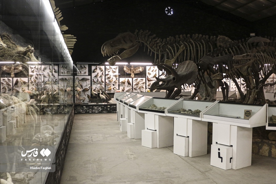 سفری بدون کوله به جهان طبیعت