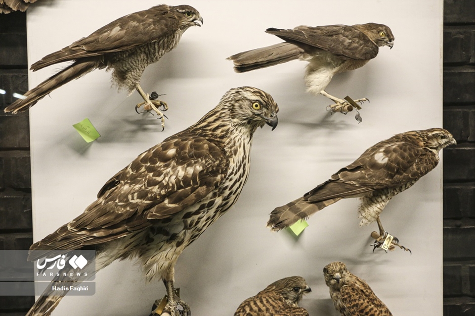 سفری بدون کوله به جهان طبیعت