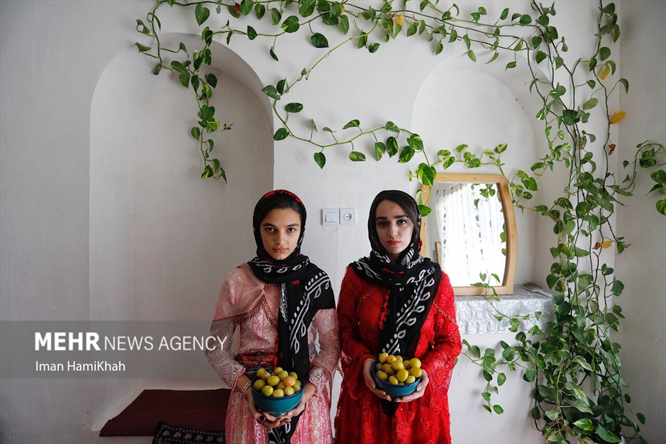 جشنواره برداشت آلو در روستای «حیدره قاضی خان»