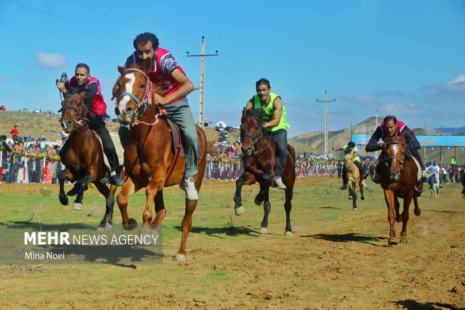 جشنواره فرهنگی ،ورزشی و عشایر کلیبر