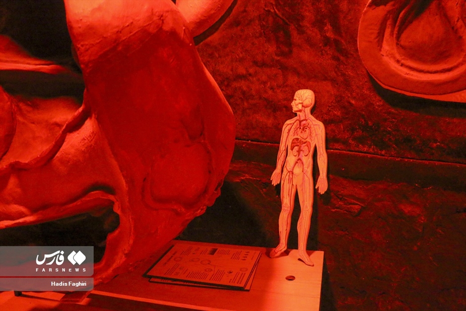 سفری بدون کوله به جهان طبیعت