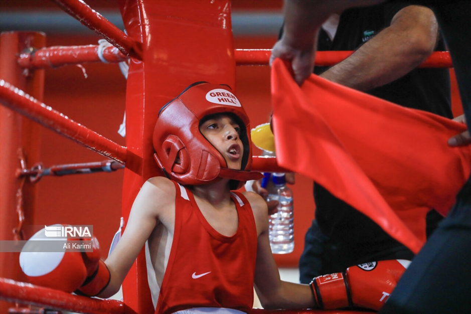 مسابقات بوکس خردسالان