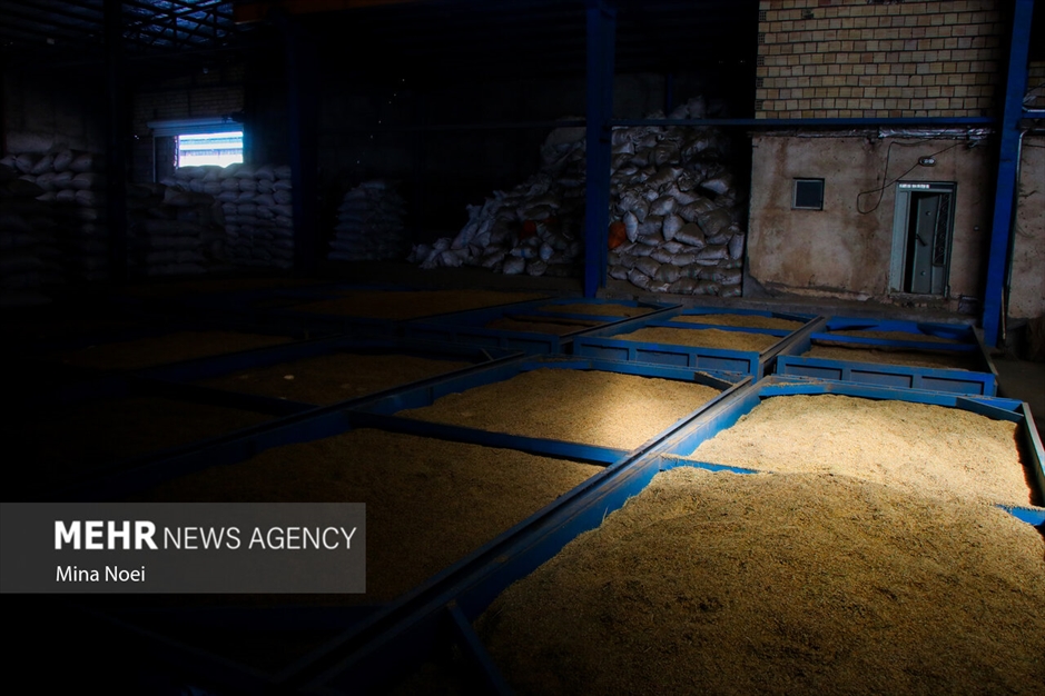 میانه قطب کشاورزی استان آذربایجان شرقی