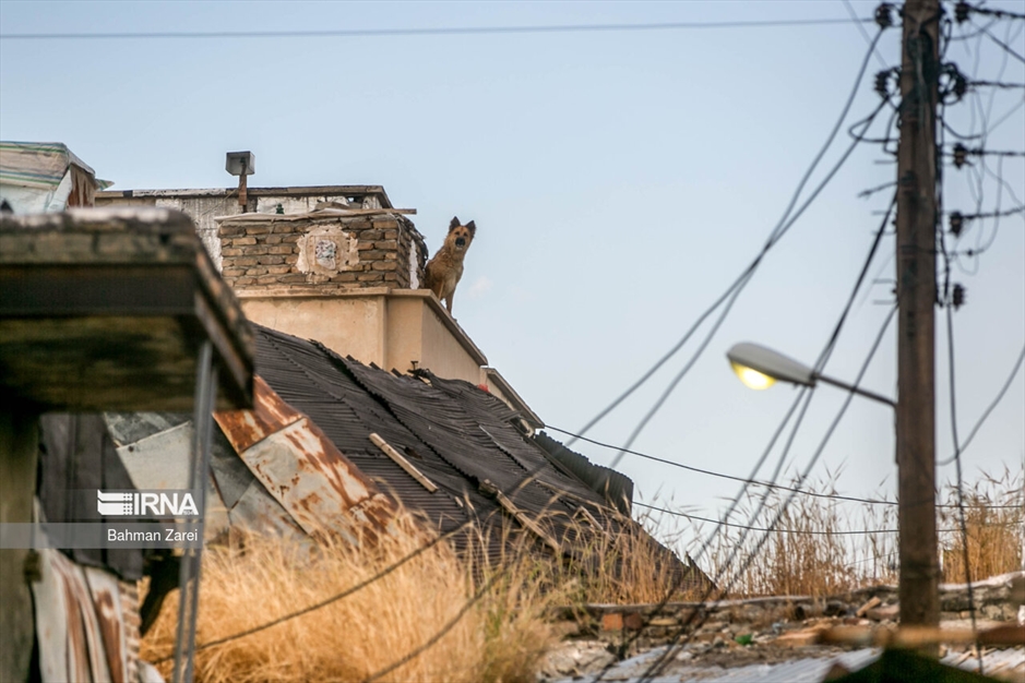 محله "فیض‌آباد"