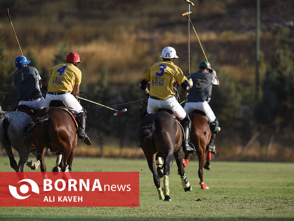 لیگ ملی چوگان گرامیداشت استاد مهدیقلی ذوالفقاری