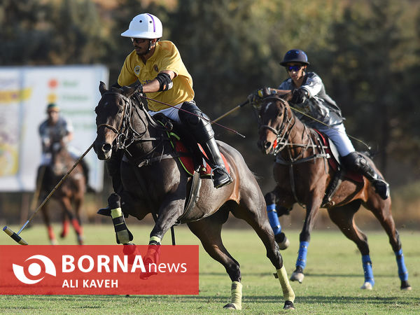 لیگ ملی چوگان گرامیداشت استاد مهدیقلی ذوالفقاری