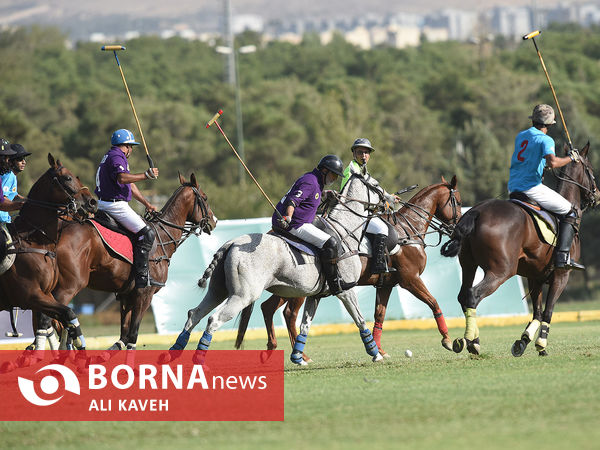 لیگ ملی چوگان گرامیداشت استاد مهدیقلی ذوالفقاری