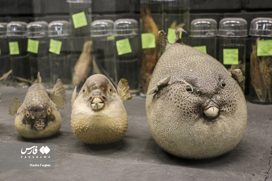 سفری بدون کوله به جهان طبیعت