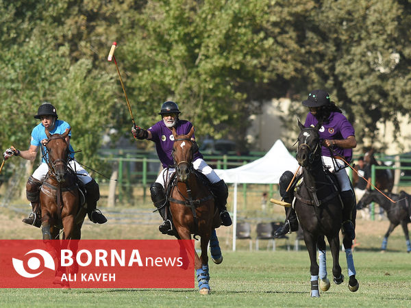 لیگ ملی چوگان گرامیداشت استاد مهدیقلی ذوالفقاری