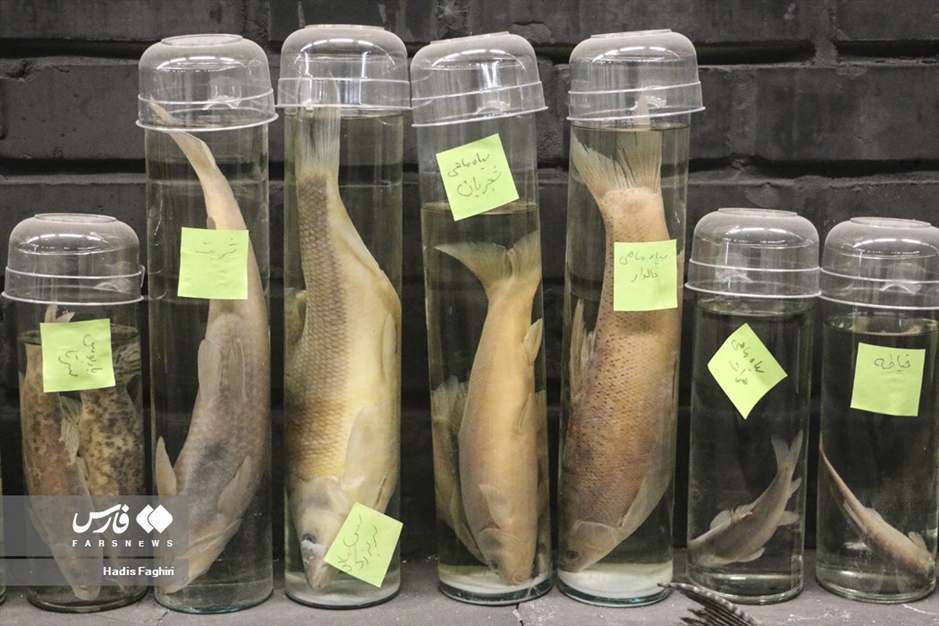 سفری بدون کوله به جهان طبیعت