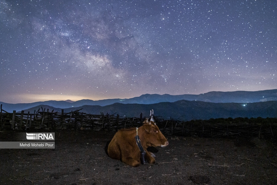 دامداری در روستاهای مازندران