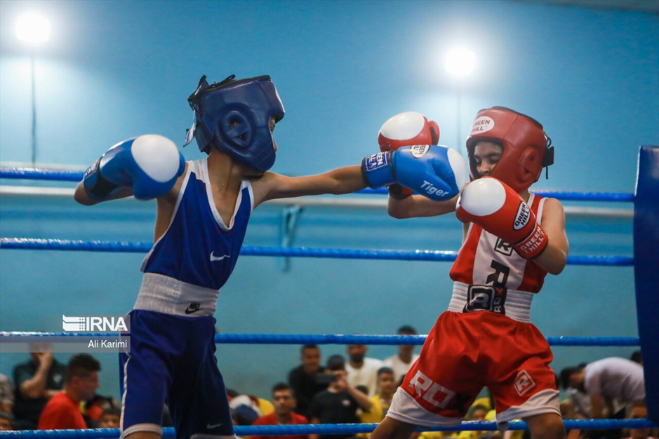 مسابقات بوکس خردسالان