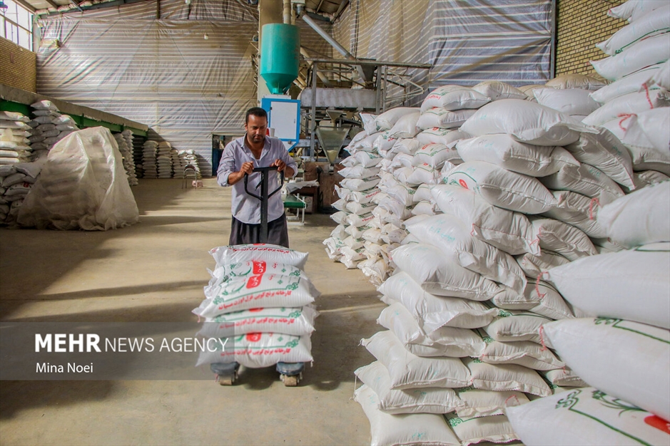 میانه قطب کشاورزی استان آذربایجان شرقی
