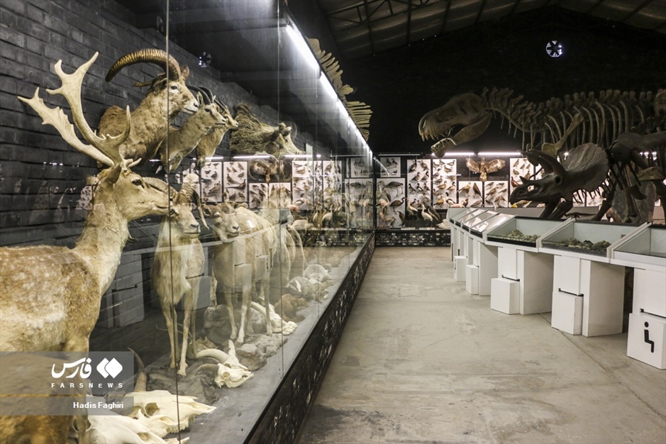 سفری بدون کوله به جهان طبیعت