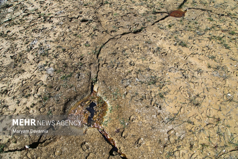 خشک شدن سد بارزو شیروان