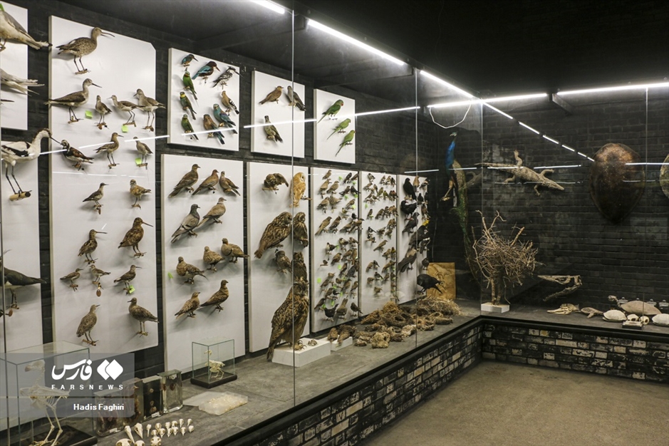 سفری بدون کوله به جهان طبیعت