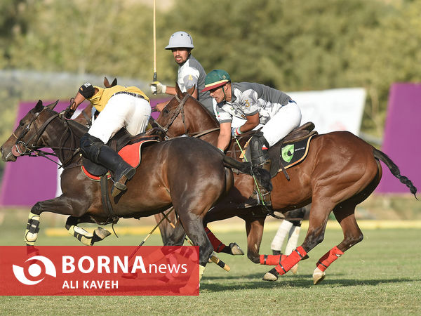 لیگ ملی چوگان گرامیداشت استاد مهدیقلی ذوالفقاری