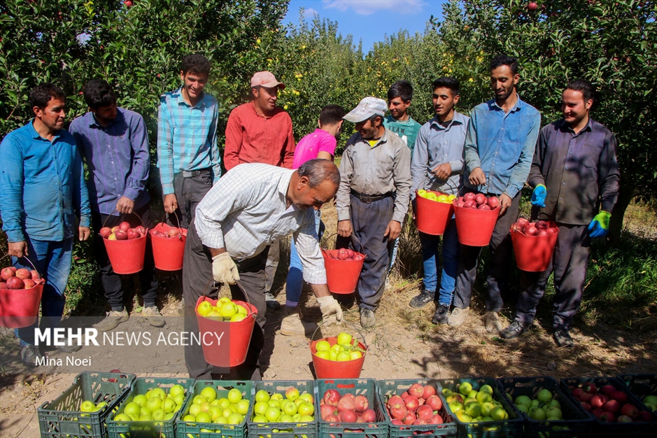 میانه قطب کشاورزی استان آذربایجان شرقی