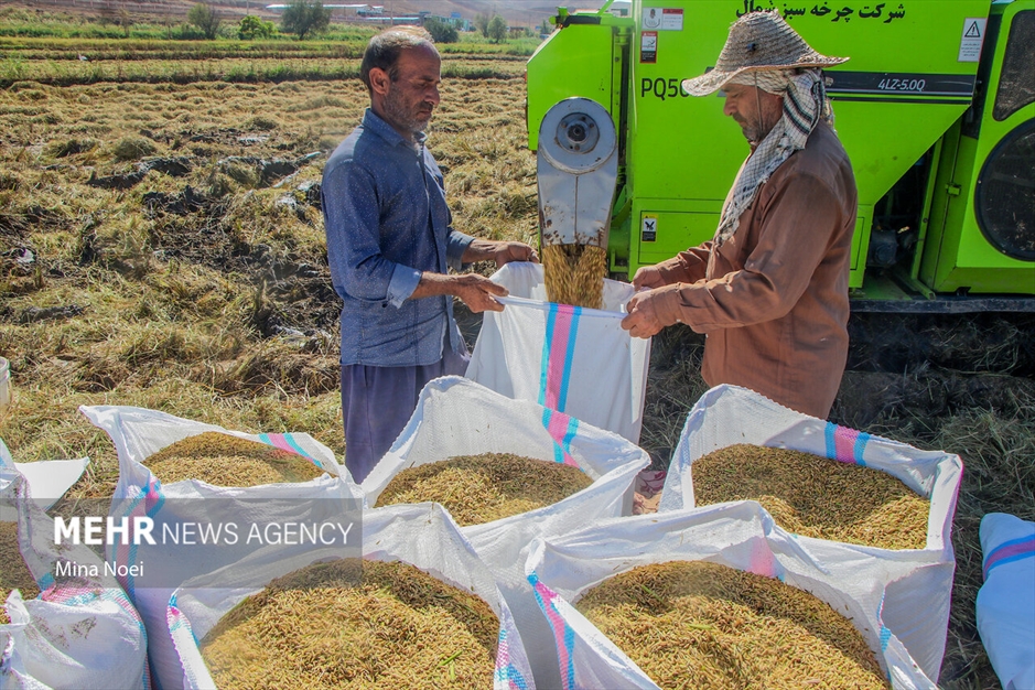 میانه قطب کشاورزی استان آذربایجان شرقی