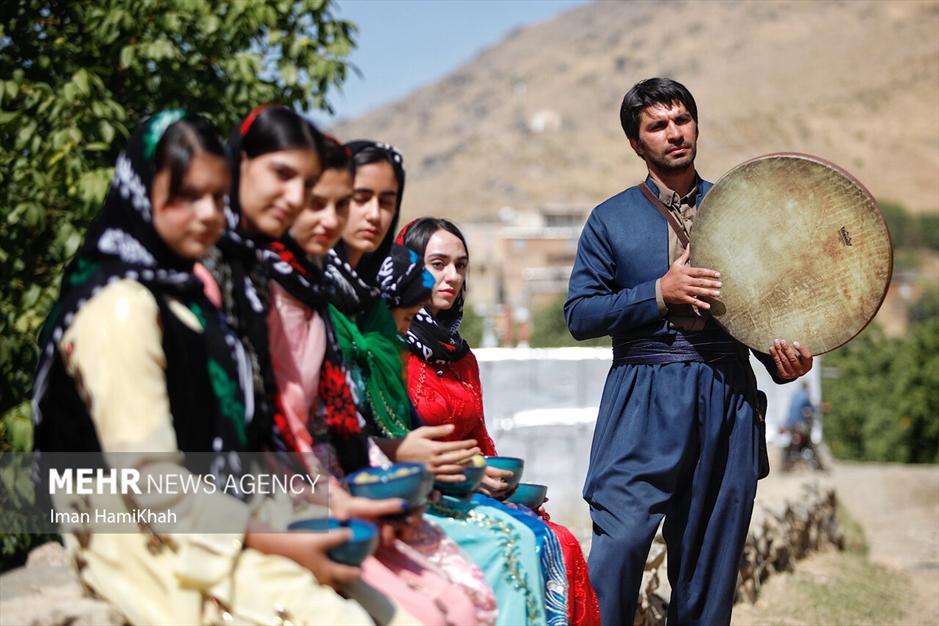 جشنواره برداشت آلو در روستای «حیدره قاضی خان»
