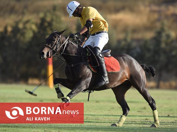 لیگ ملی چوگان گرامیداشت استاد مهدیقلی ذوالفقاری