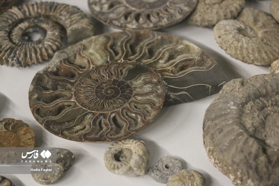 سفری بدون کوله به جهان طبیعت