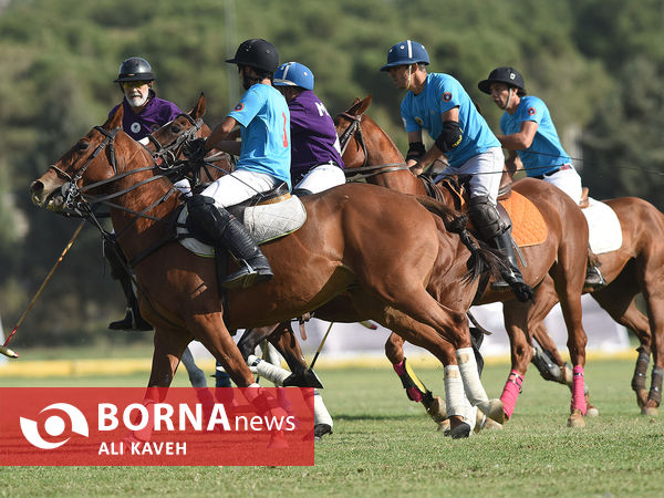 لیگ ملی چوگان گرامیداشت استاد مهدیقلی ذوالفقاری