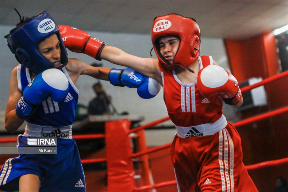 مسابقات بوکس خردسالان