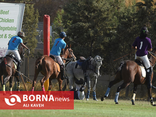 لیگ ملی چوگان گرامیداشت استاد مهدیقلی ذوالفقاری