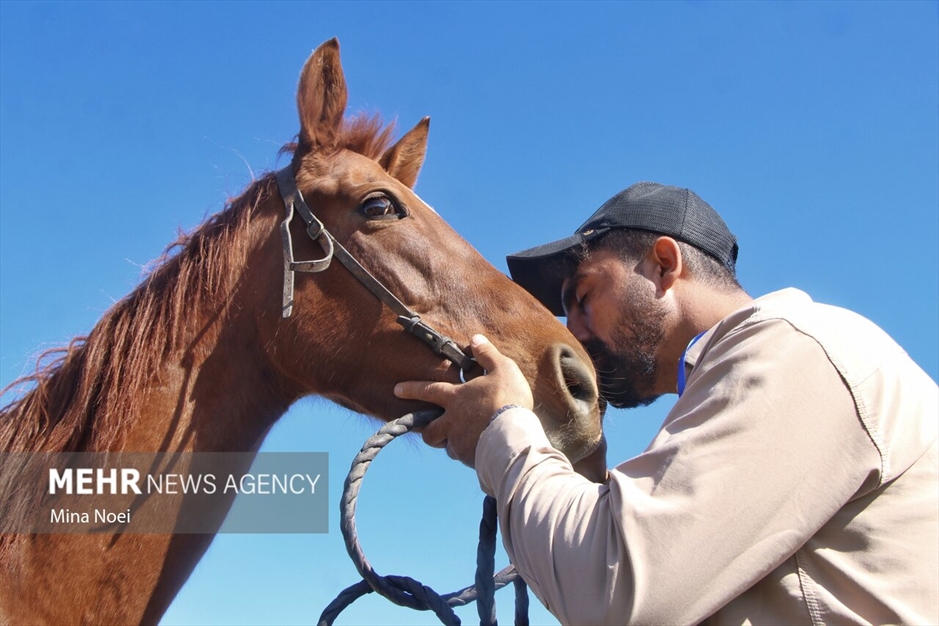 جشنواره فرهنگی ،ورزشی و عشایر کلیبر