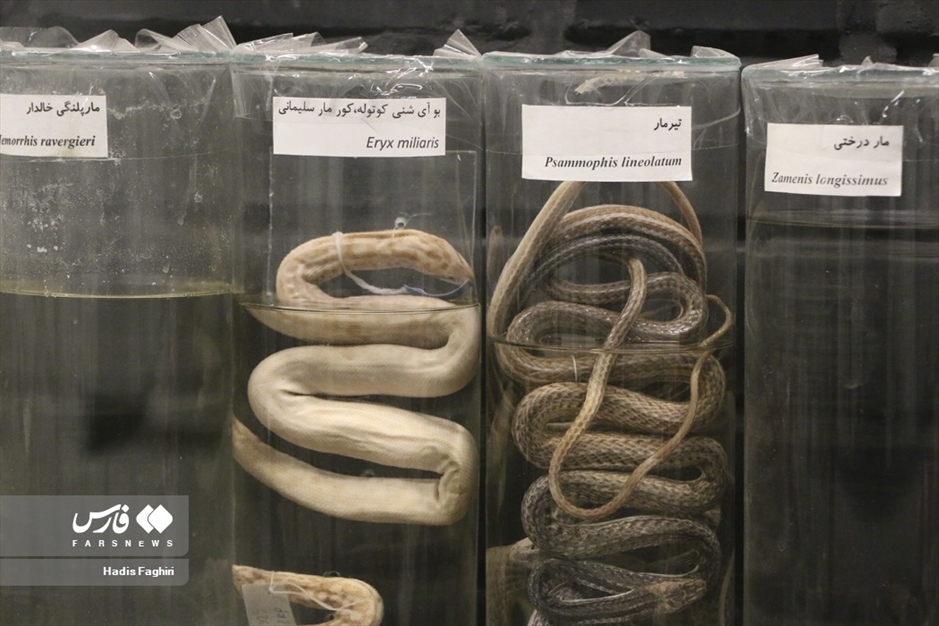 سفری بدون کوله به جهان طبیعت