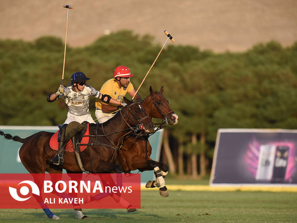 لیگ ملی چوگان گرامیداشت استاد مهدیقلی ذوالفقاری