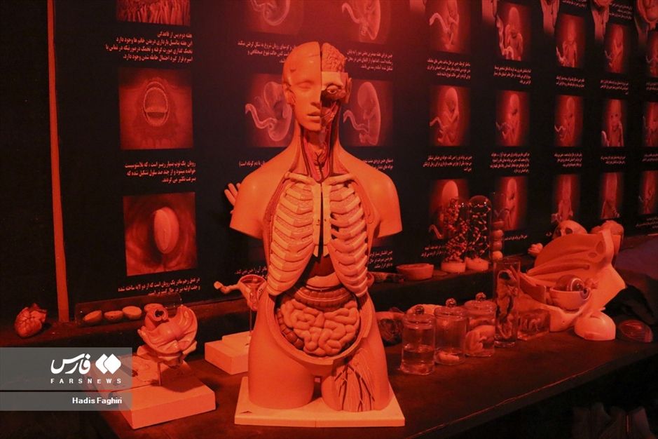 سفری بدون کوله به جهان طبیعت