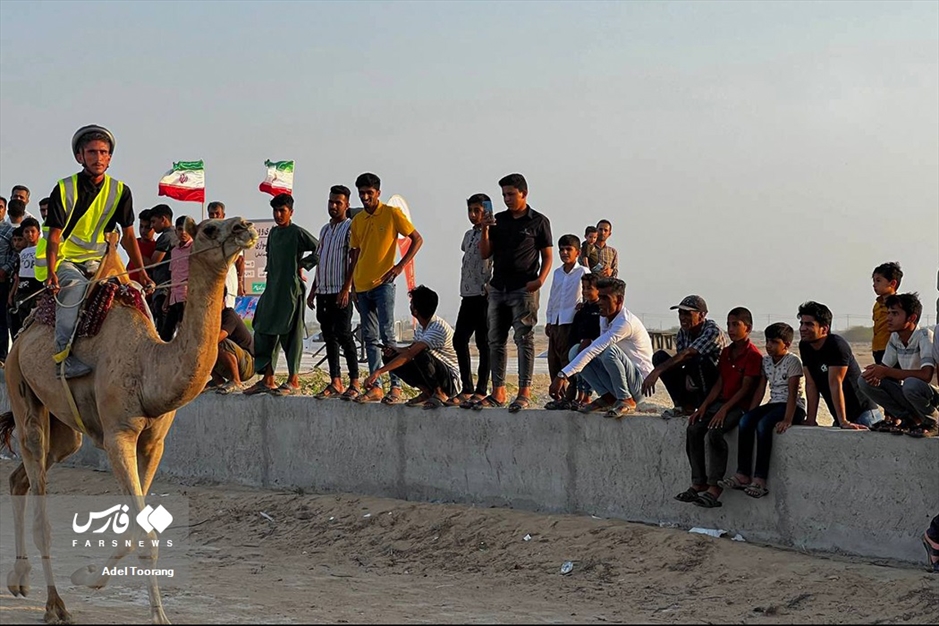 «مسابقه شترسواری» در روستای کورزین قشم