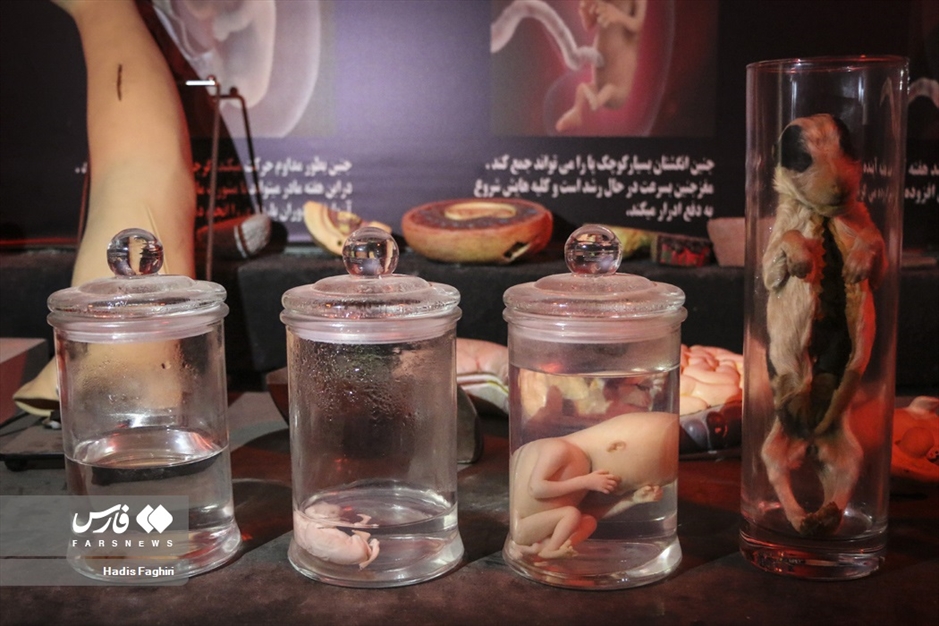 سفری بدون کوله به جهان طبیعت