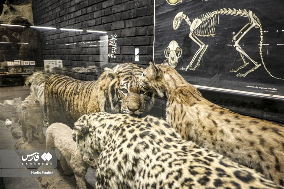 سفری بدون کوله به جهان طبیعت