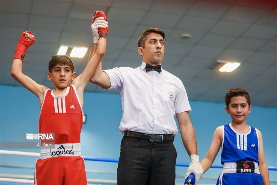 مسابقات بوکس خردسالان