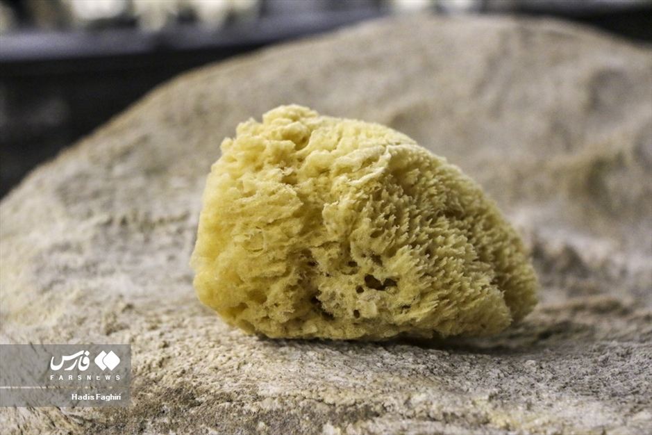 سفری بدون کوله به جهان طبیعت