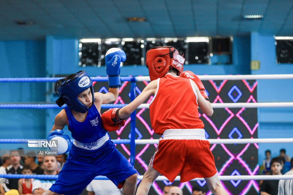 مسابقات بوکس خردسالان