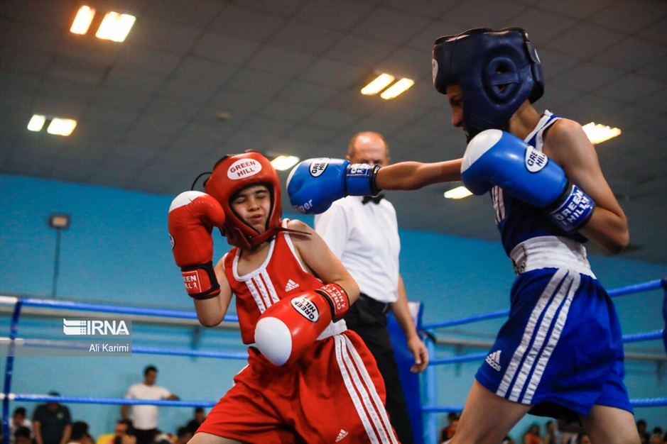 مسابقات بوکس خردسالان