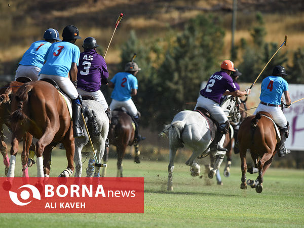 لیگ ملی چوگان گرامیداشت استاد مهدیقلی ذوالفقاری