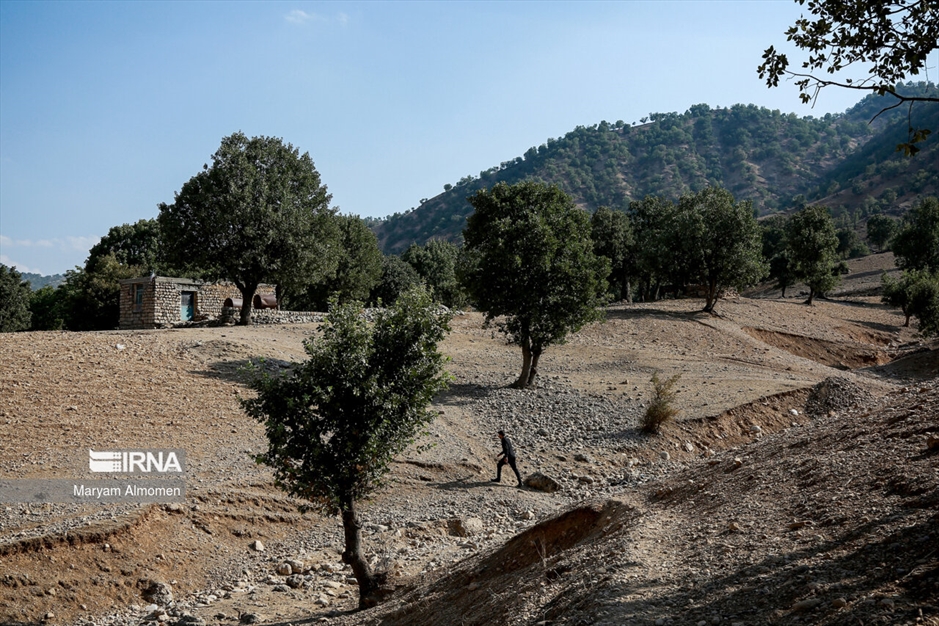 مدرسه ی تک کلاسه حره دان