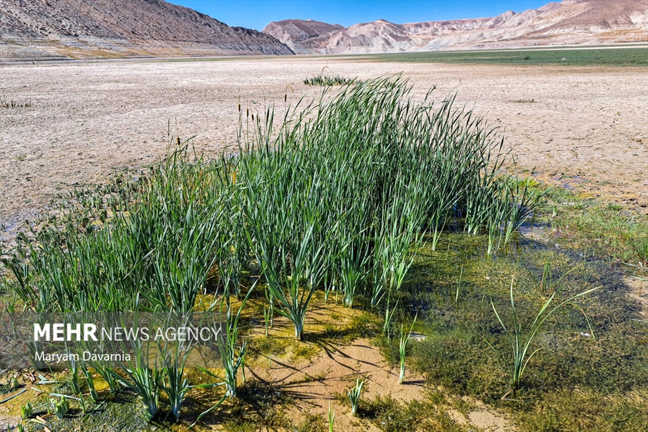 خشک شدن سد بارزو شیروان