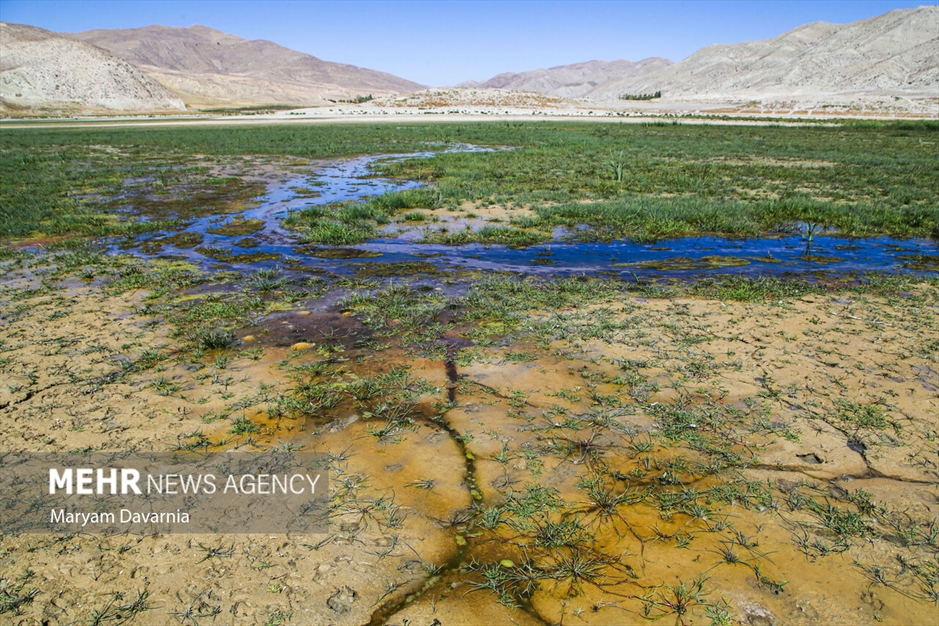 خشک شدن سد بارزو شیروان