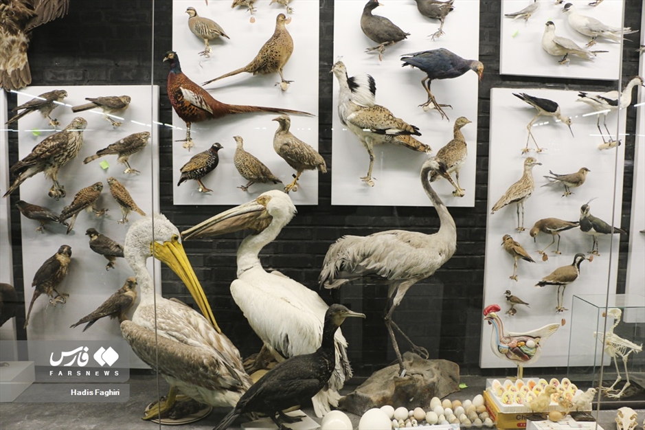 سفری بدون کوله به جهان طبیعت