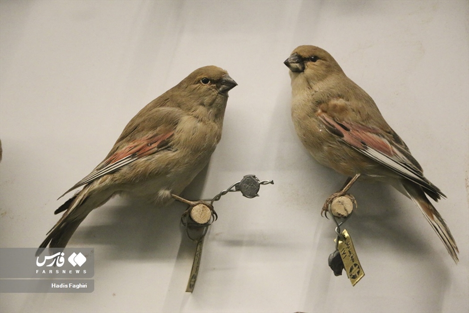 سفری بدون کوله به جهان طبیعت